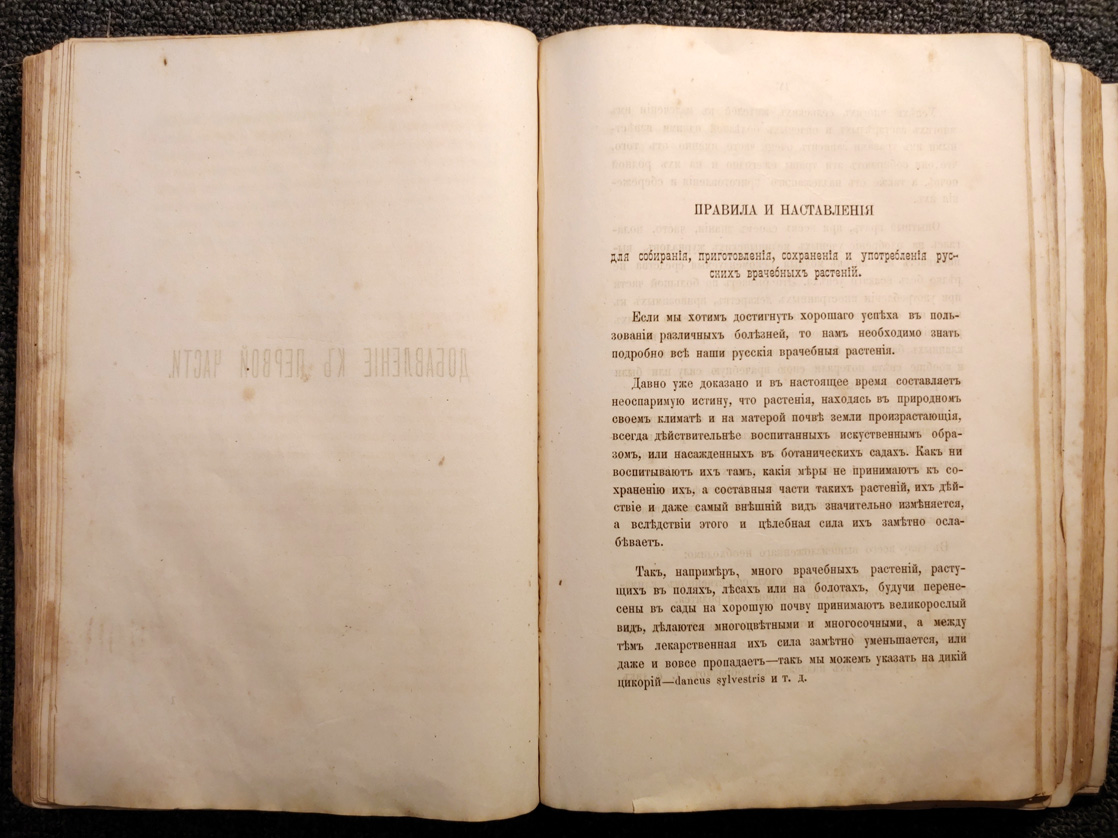 1885 год. Русский лечебный Травник - купить с доставкой по РФ