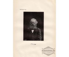 1904 год. Фототипия Портрет Чечотт