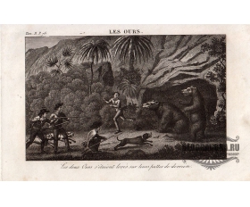 1800-е гг. Антикварная гравюра Охота на медведей