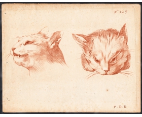 1770-е гг. Кошка, редкая антикварная гравюра