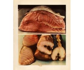 1953 год. Балык из рыбы, Союзпищепромреклама