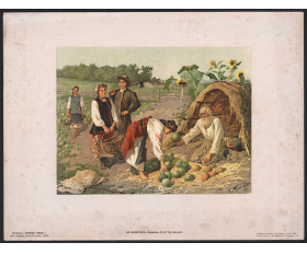 1893 год. Большая литография, На баштане, издание А.Ф. Маркса