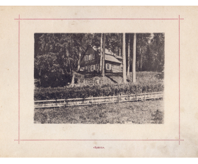 1896 год. Охотничий домик Крик, Павловск, фотопейзаж